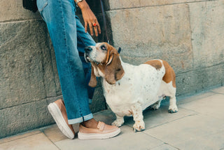 Hush Puppies
