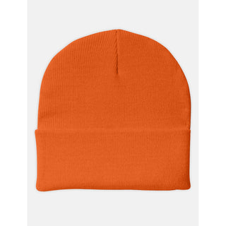 Dickies Acrylic Cuffed Beanie