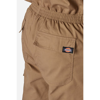 Dickies Everyday Coverall Mens Overalls