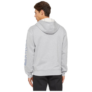 Dickies Graphic Hoodie Mens Hooded Jumper