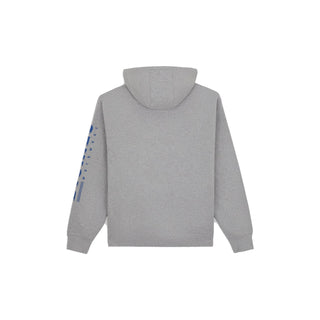 Dickies Graphic Hoodie Mens Hooded Jumper
