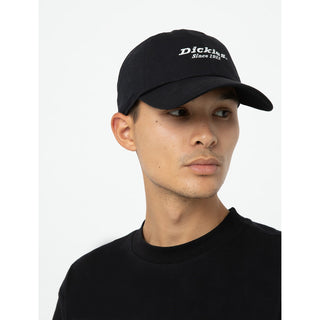 Dickies Everyday Dickies Twill Cotton Baseball Cap