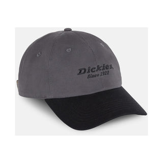 Dickies Everyday Dickies Twill Cotton Baseball Cap