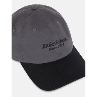 Dickies Everyday Dickies Twill Cotton Baseball Cap