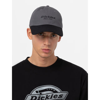 Dickies Everyday Dickies Twill Cotton Baseball Cap